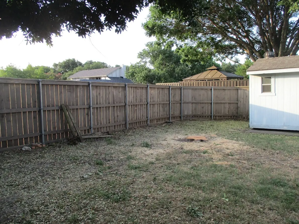 Cleared yard after professional tree removal in Pearson